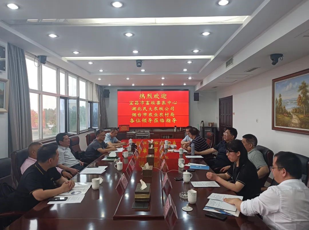 微信图片_20230523102304.jpg 微信图片_20230523102304.jpg