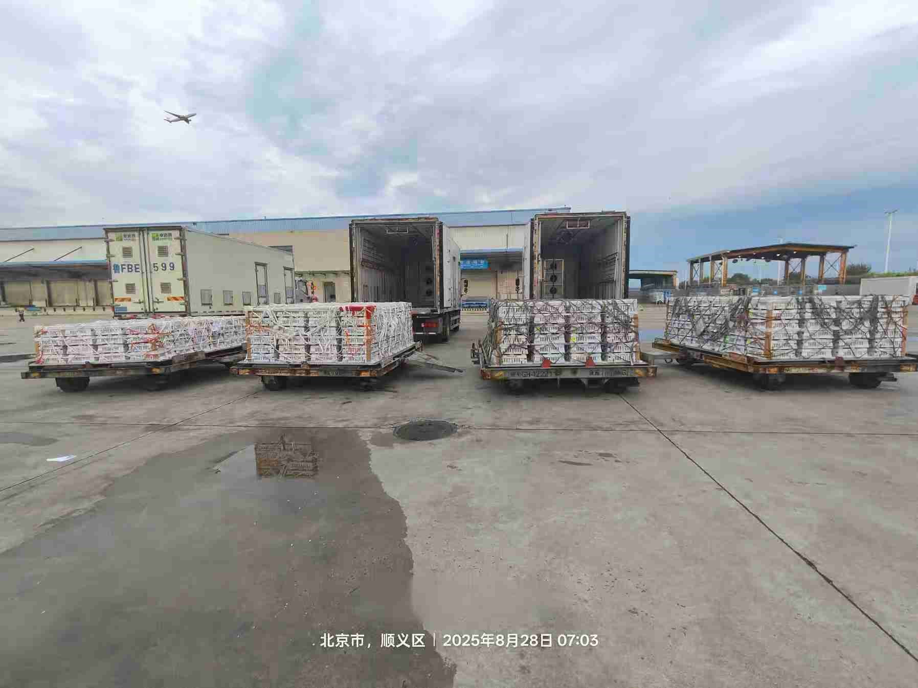 【引种】南宫NG28股份年度引种突破16万套，市占率59%稳居行业龙头