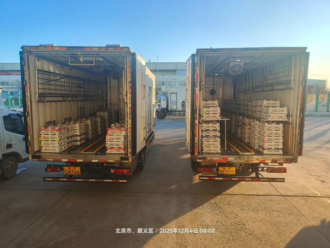 [引种】南宫NG28股份再度引进法国种源，龙头职位坚韧保险产业不变