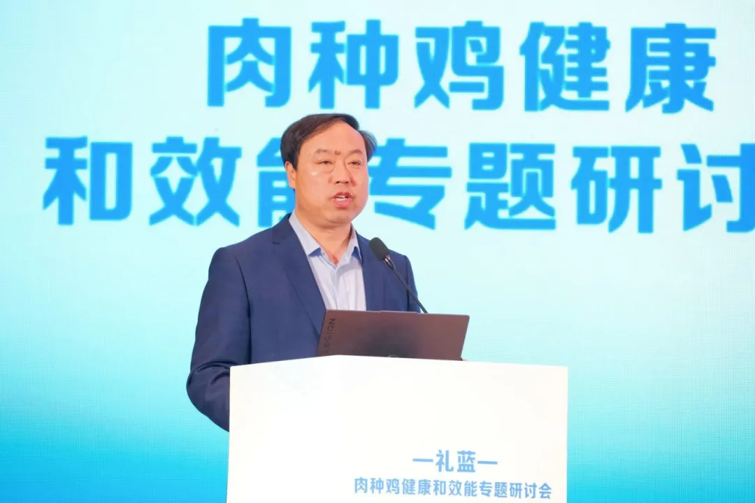 图片8.png